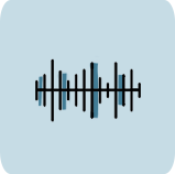 Voice Authentication